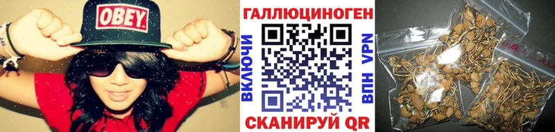 купить наркотик  Щёкино  Псилоцибиновые грибы мицелий 