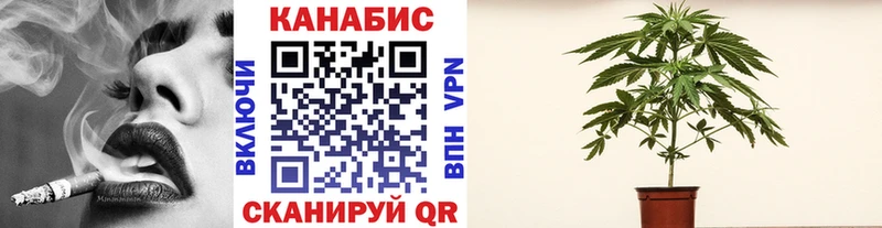 Марихуана VHQ  даркнет сайт  Щёкино 